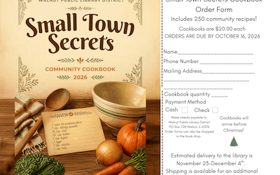 Small Town Secrets is ready to order – get your copy today!